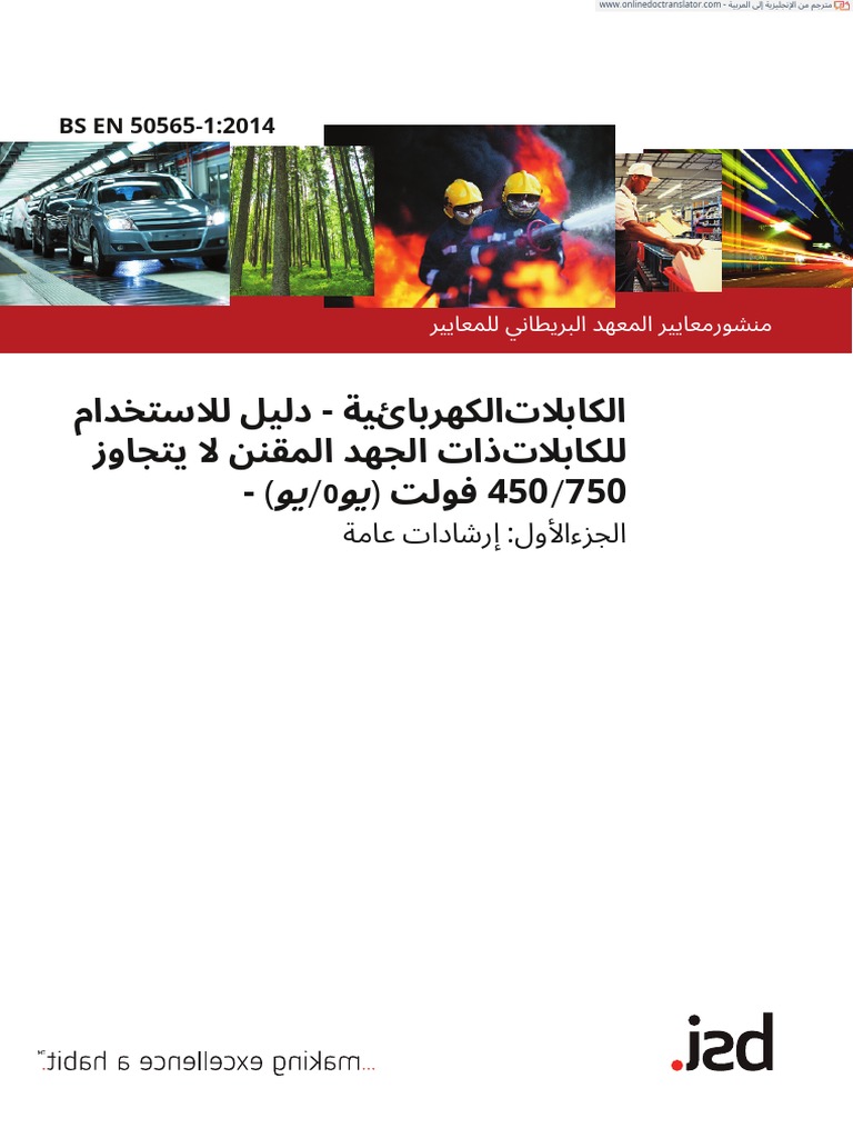BS EN 50565-1-2014.en - Ar | PDF
