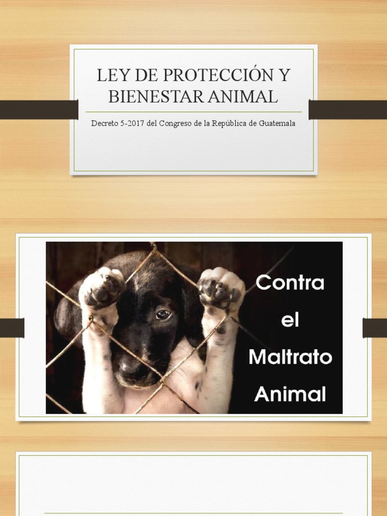 Ley de Protección y Bienestar Animal en Guatemala | PDF | Bienestar de ...