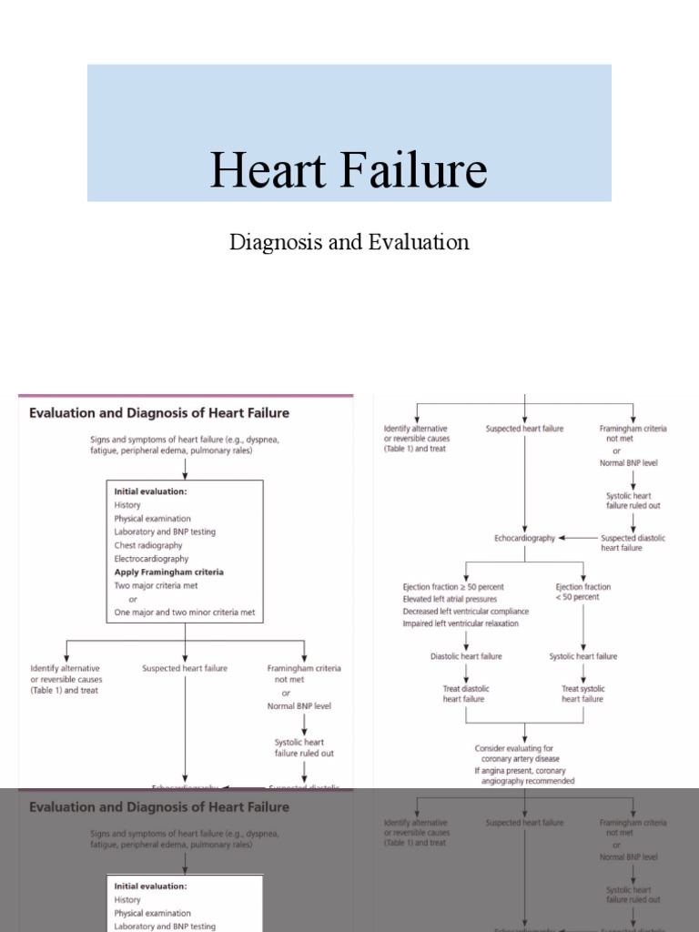 Comprehensive Evaluation and Diagnosis of a Patient with Suspected