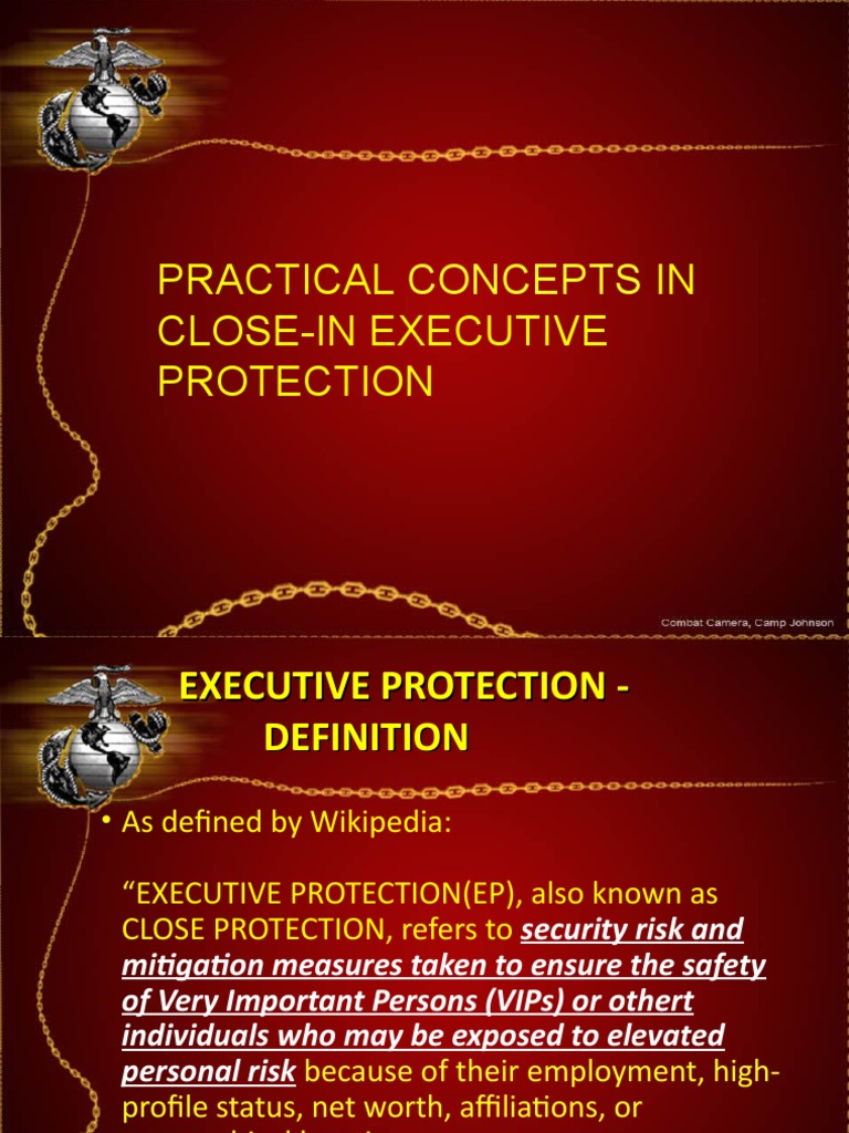 Practical Concepts in Vip Security | PDF