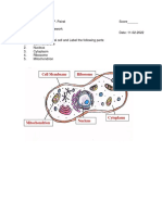 PAIRAT - BSN1A- Homework 1 THE CELL