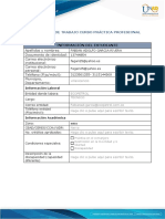 Anexo 1 - Formato Plan de Trabajo