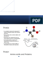 4.3 Protein and 4.4 Lipids