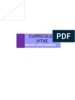 Curriculum Vitae Adocx2000