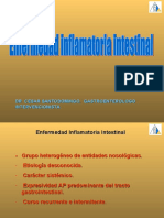 Enfermedad_Inflamatoria_Intestinal PPT1