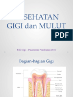 Materi Gigi - DokCil