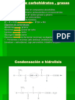 5. Digestión de nutrientes 5 (3)