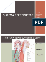 Sistema Reproductor de La Hembra