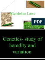 Mendels Laws