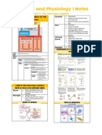 AnaPhy 1 - Unit 5 - Nervous System