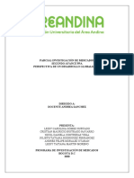 2do # Estructura Del PPA Identificación Del Mercado