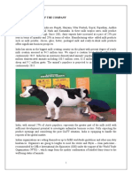 Paras Dairy Project Report