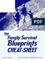 Survival Blueprints