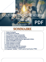 Culture d'Entrepreneuriat