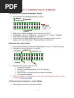 Download Human Physiology Lectures by Physiology by Dr Raghuveer SN56909720 doc pdf