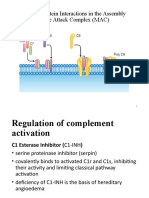 Sequence of Protein Interactions in The Assembly of The Membrane Attack Complex (MAC)