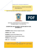 Word de Cuadro de Los Vacunos y Ratas Que Va Con El Informe N°9