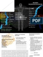 Folleto Pruebas