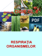 Respiratia Organismelor