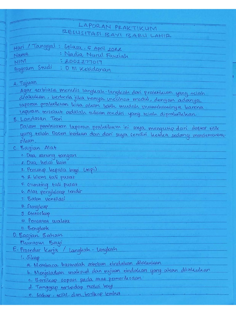 Laporan Praktikum | PDF