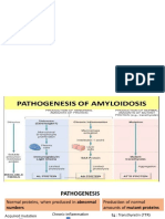 Amyloidosis