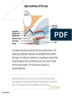 Angle_anatomy