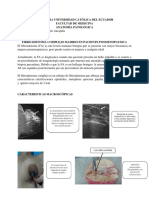 Anatomia Patologica - Riofrio K