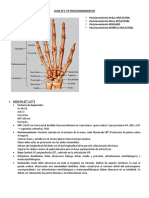 Guía N1 TP Posicionamientos