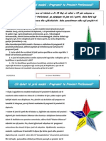 Projekt I Programit Te Provimit Profesional