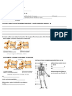 test_bsistemul_osos_si_muscular