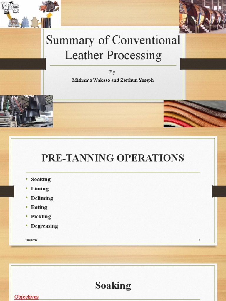 Overview of Leather Processing Steps | PDF