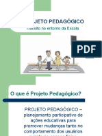 Diretrizes para A Elaboracao Do PROJETO PEDAGOGICO