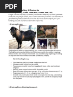Download Jenis Jenis Kambing Di Indonesia by Deddy Rimawan SN56930380 doc pdf