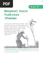 Download dunia tumbuhan plantae by 740N SN56930833 doc pdf