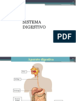 AP Digestivo- Completo!!