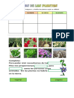 Recorta imágenes y clasifica plantas por utilidad