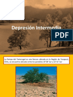 articles-22868_recurso_ppt