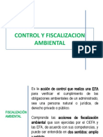 Control y Fiscalizacion Ambiental