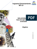 Solucionario Guía Álgebra 2014