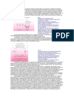 Las Células Requieren Un Continuo Suministro de Energía