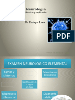 neurologia basica