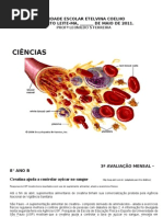 3ª Avaliação Ciências 8 ano 2011