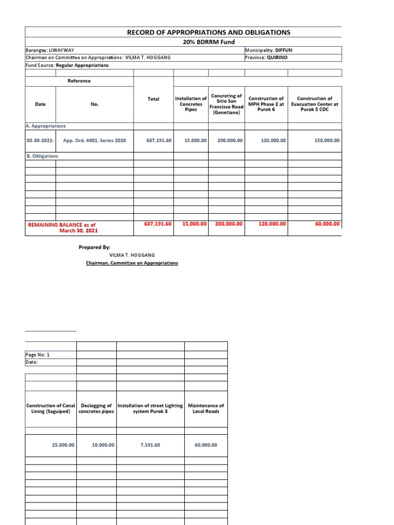 Record of Appropriations and Obligations: 20% BDRRM Fund | PDF