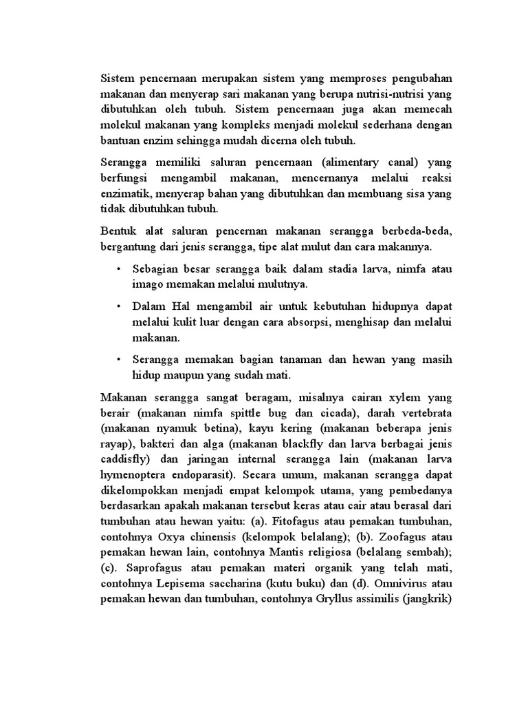 Pencernaan Serangga | PDF