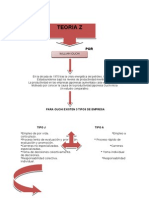 Mapa Conceptual Teoria Z