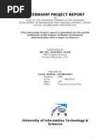 Download Internship Report on Jibon Bima Corporation Bangladesh by zunayedctg SN56949901 doc pdf