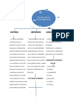 Mapa Conseptual Teoria Contingencial.