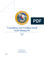 Consulting and Guiding Small Scall Mining PLC: FEBRUARY 28, 2022