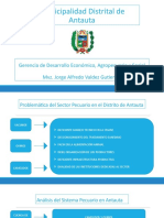 Municipalidad Distrital de Antauta