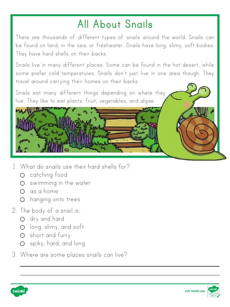 Us SC 358 All About Snails Fact File - Ver - 2 | PDF | Home & Garden